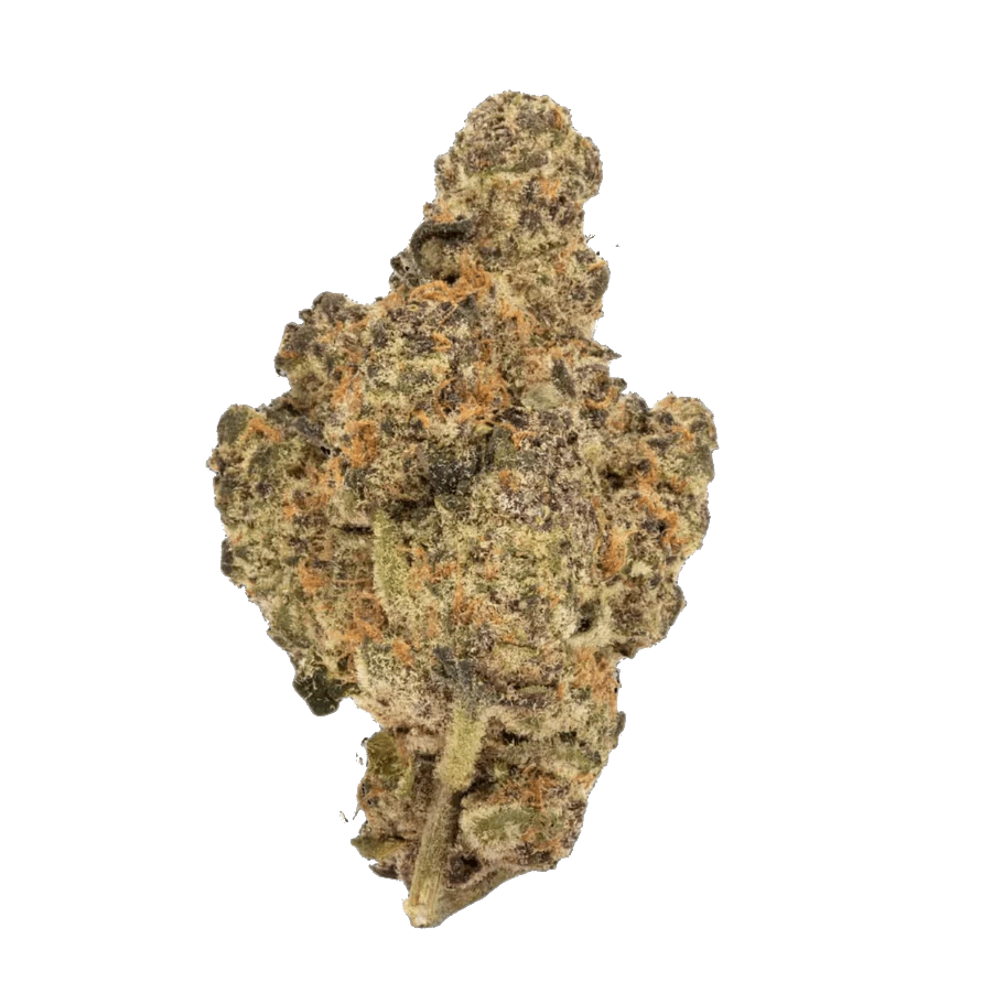 Image of Grandpa Larry THCA HEMP FLOWER